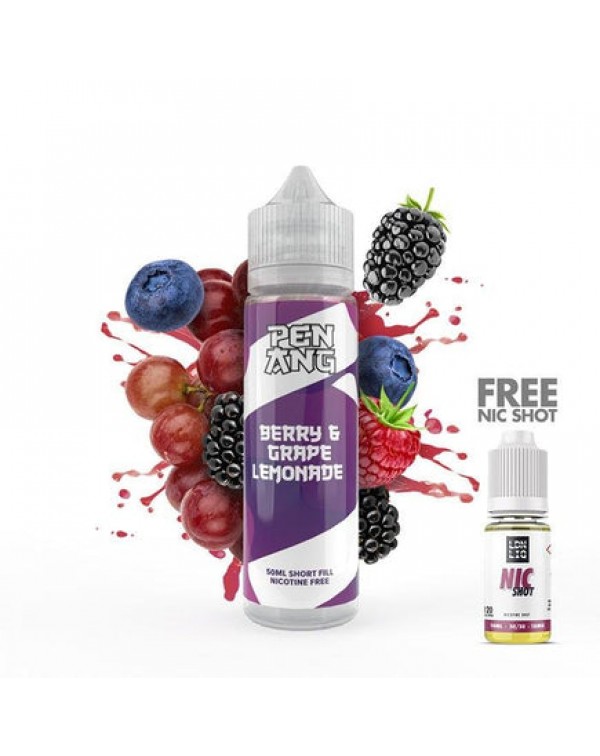 Penang - Berry and Grape Lemonade 50ml Short Fill ...